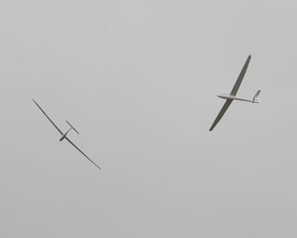 Gliders in a thermal