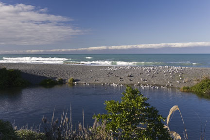 Kaikoura New Zealand, South Island