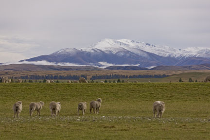 Rural New Zealand, South Island